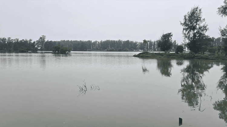 তিন দিনের মধ্যে রংপুরের পাঁচ জেলায় বন্যার শঙ্কা