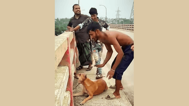 নরসিংদীতে কুকুরের গলায় ইট বেঁধে নদীতে নিক্ষেপ, তরুণ আটক