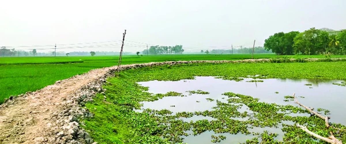 খাড়িয়া নদী বাঁচান