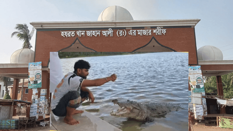 শুধু কুকুর নয়, দু’জন মানুষকেও দিঘিতে টেনে নিয়েছিল মাজারের কুমির