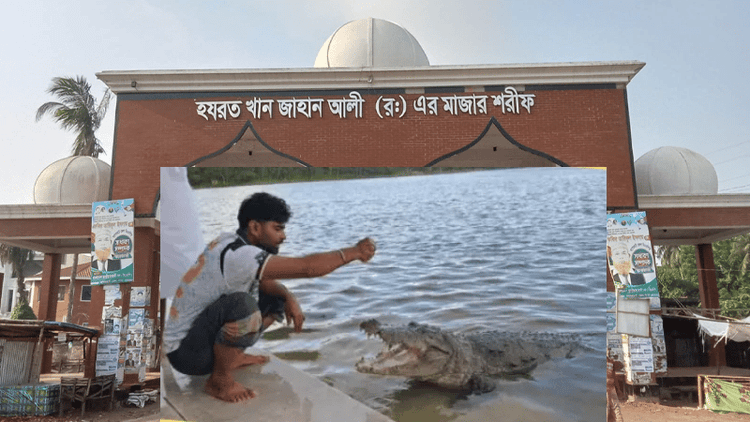 শুধু কুকুর নয়, দু’জন মানুষকেও দিঘিতে টেনে নিয়েছিল মাজারের কুমির