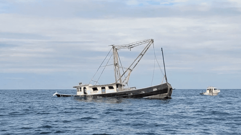 আন্দামান সাগরে ট্রলার ডুবি, রোহিঙ্গা ও বাংলাদেশিসহ নিখোঁজ ২৫০