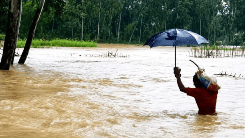 চট্টগ্রামে বন্যায় ভেসে গেল হাজারো মাছের ঘের-পুকুর, ক্ষতি ৯১ কোটি টাকা