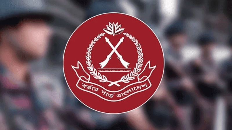 সিলেট সীমান্তে পাচারকারীসহ গ্রেপ্তার ১০
