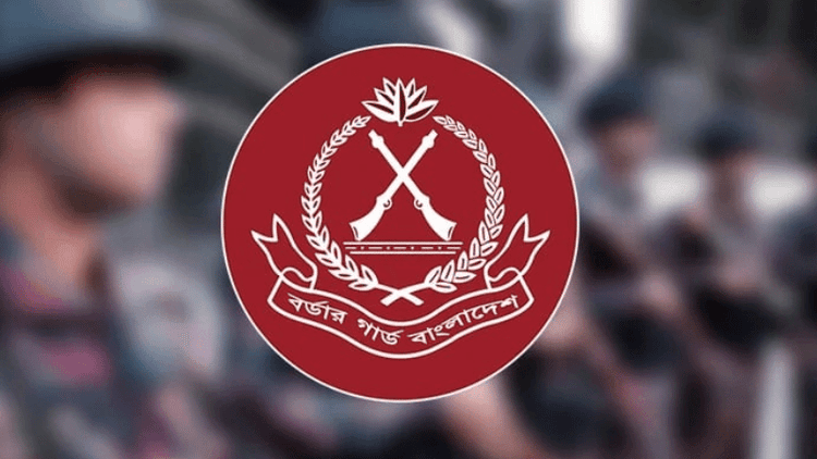 সিলেট সীমান্তে পাচারকারীসহ গ্রেপ্তার ১০