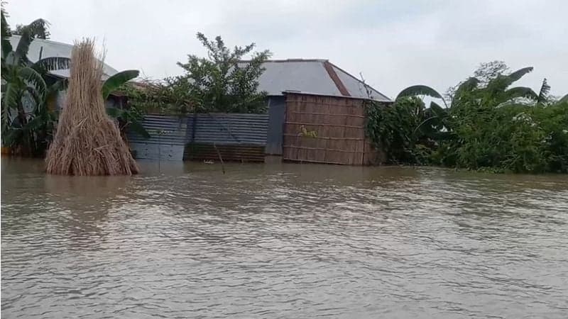 পদ্মার পানি বেড়ে ৩ জেলায় বন্যা, পানিবন্দি হাজারো পরিবার
