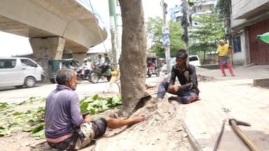 রাস্তা সম্প্রসারণে রাজশাহীতে কাটা হলো ৩০ কাঠবাদাম গাছ