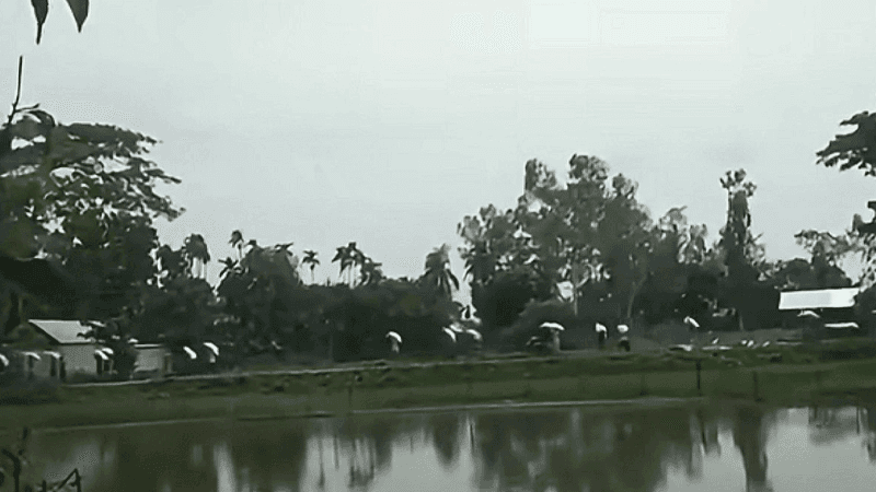 কুড়িগ্রামে গুদামের দরজা ভেঙে ২০২ বস্তা সার নিয়ে গেলেন কৃষকরা