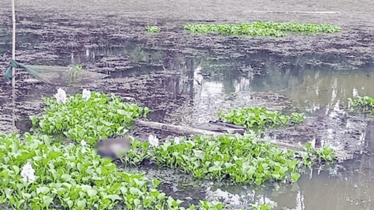 মহেশপুর সীমান্তে ৭২ ঘণ্টায় দুই মরদেহ উদ্ধার