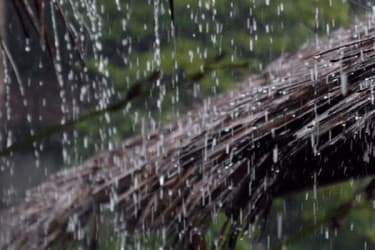 আগামী ২৪ ঘণ্টায় সারাদেশে বৃষ্টি হতে পারে