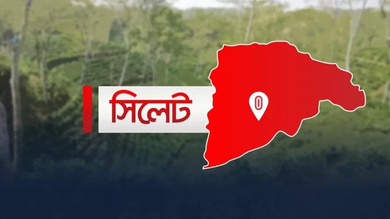 সিলেটে ছাত্রদল নেতার ভাইকে পিটিয়ে হত্যার অভিযোগ আ. লীগ নেতার বিরুদ্ধে