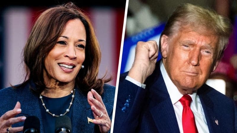 যুক্তরাষ্ট্রের নির্বাচনে হাড্ডাহাড্ডি লড়াইয়ের ৭ রাজ্য