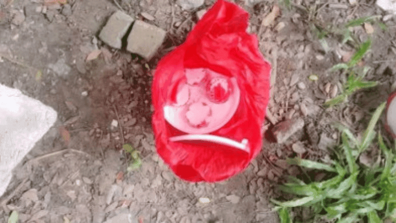 ঢাবি ক্যাম্পাসে ককটেল বিস্ফোরণ, আরও সাতটি  উদ্ধার
