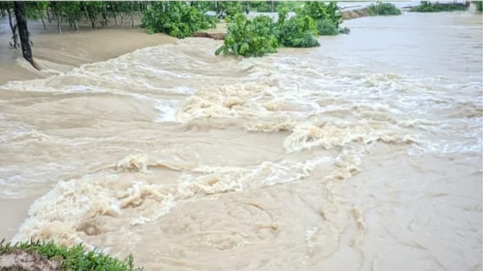 ফেনীতে বন্যা নিয়ন্ত্রণ বাঁধের ১৪ স্থানে ভাঙন, ৩০ গ্রাম প্লাবিত