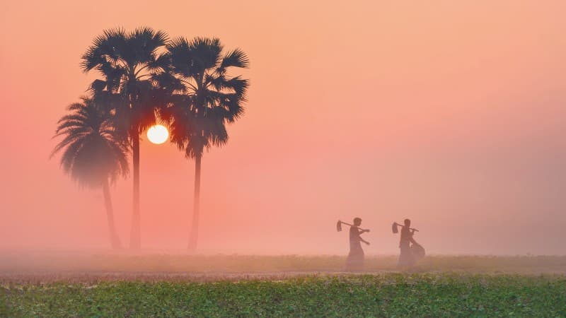 এল নিনোর দাপট: মাঘের শুরুতেই শীতের বিদায় ঘণ্টা