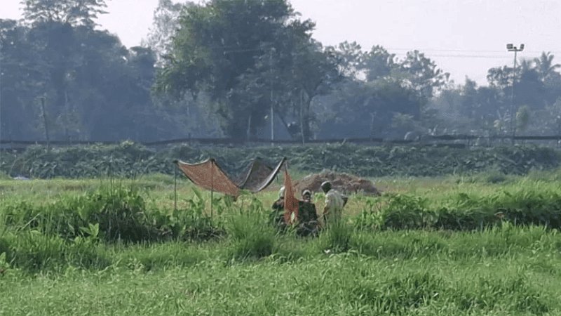 পাঁচবিবি সীমান্ত: বিজিবির প্রতিরোধের মুখে সেই বৃদ্ধকে ফিরিয়ে নিল বিএসএফ