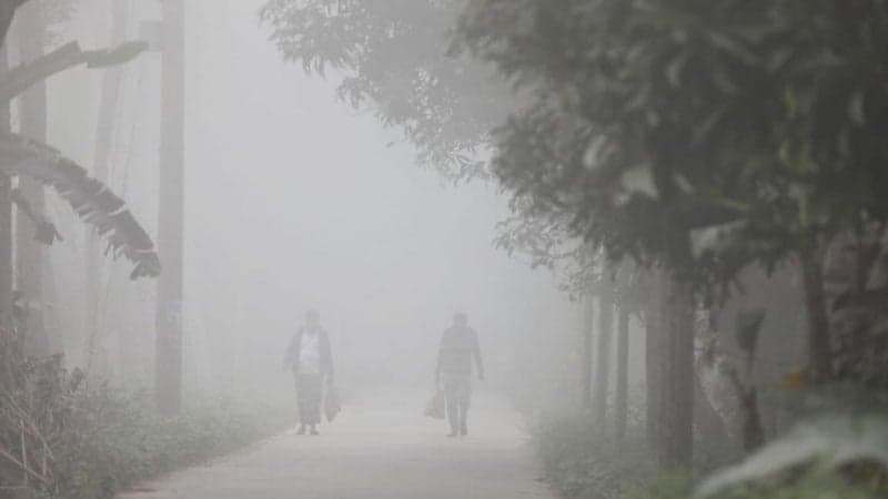 ৮.৪ ডিগ্রি সেলসিয়াসে তেতুলিয়ায় দেশের সর্বনিম্ন তাপমাত্রা