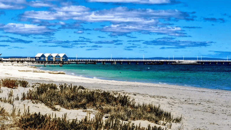 ৪ ঘণ্টা সাঁতরে তীরে ফিরে মা ও দুই ভাইবোনকে বাঁচাল ১৩ বছরের কিশোর